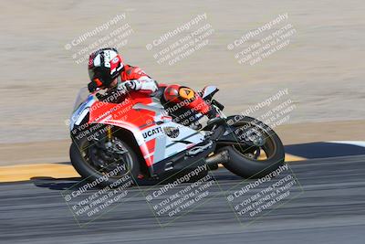 media/Feb-04-2024-SoCal Trackdays (Sun) [[91d6515b1d]]/4-Bowl Backside (11am)/